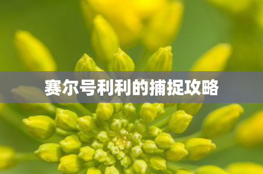 赛尔号利利的捕捉攻略图片