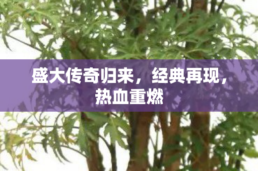 盛大传奇归来图片