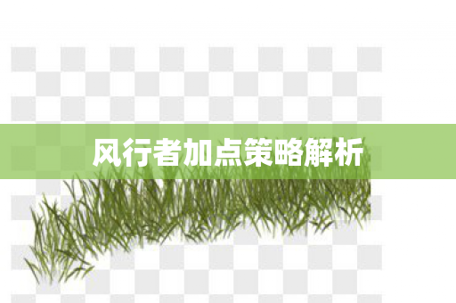风行者加点策略解析图片