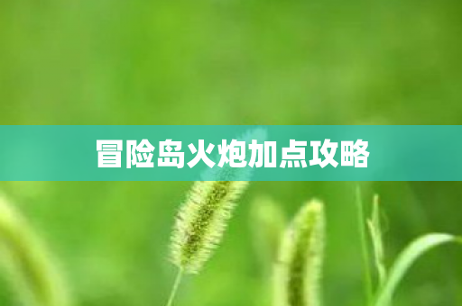 冒险岛火炮加点攻略图片