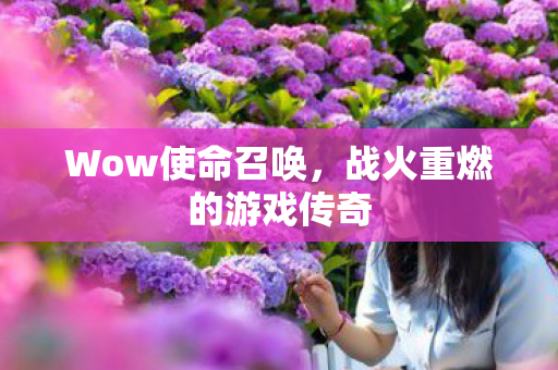 战火重燃的游戏传奇图片