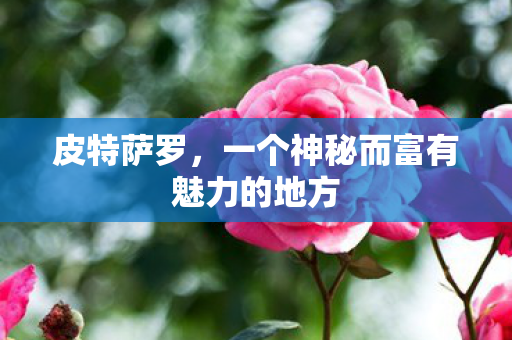 一个神秘而富有魅力的地方图片
