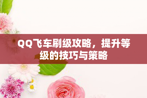 提升等级的技巧与策略图片