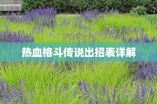 热血格斗传说出招表详解图片