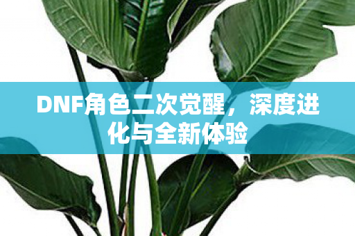 DNF角色二次觉醒图片