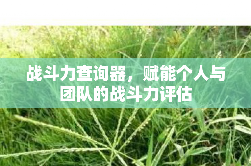 赋能个人与团队的战斗力评估图片