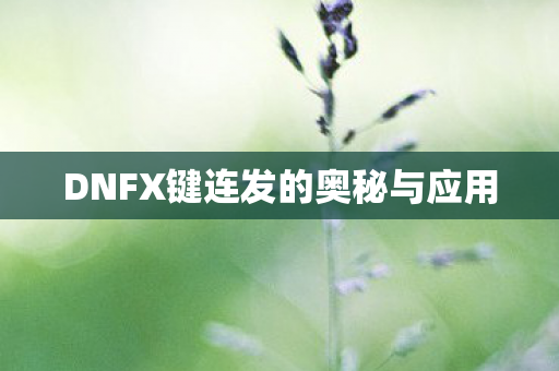 DNFX键连发的奥秘与应用图片