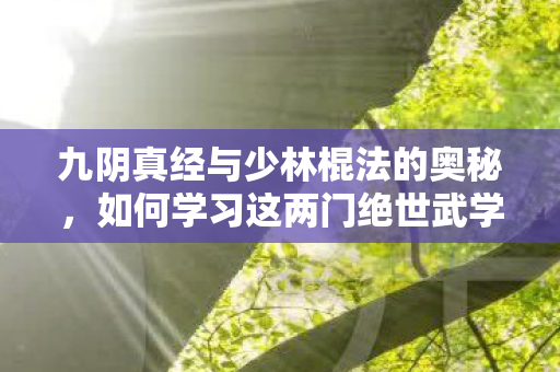 九阴真经与少林棍法的奥秘图片