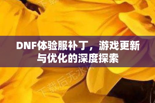 游戏更新与优化的深度探索图片