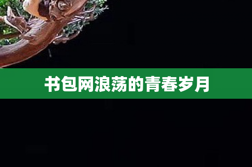 书包网浪荡的青春岁月图片