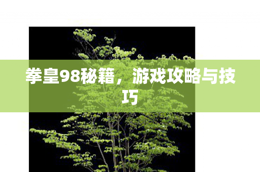 游戏攻略与技巧图片