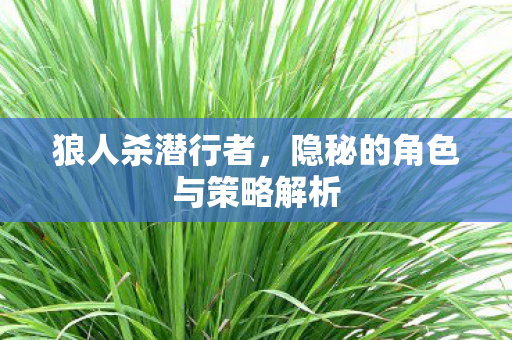 隐秘的角色与策略解析图片