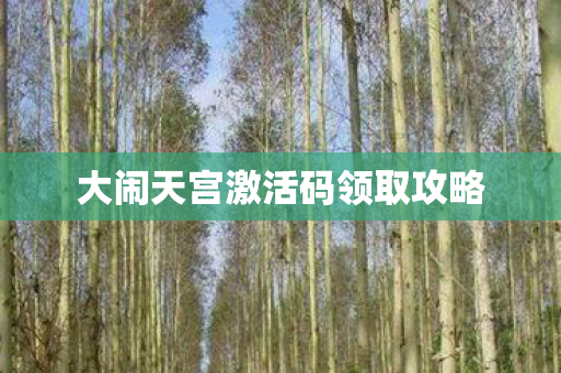 大闹天宫激活码领取攻略图片