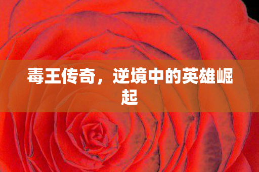 逆境中的英雄崛起图片