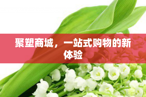 一站式购物的新体验图片