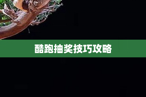 酷跑抽奖技巧攻略图片