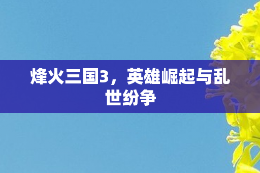 英雄崛起与乱世纷争图片