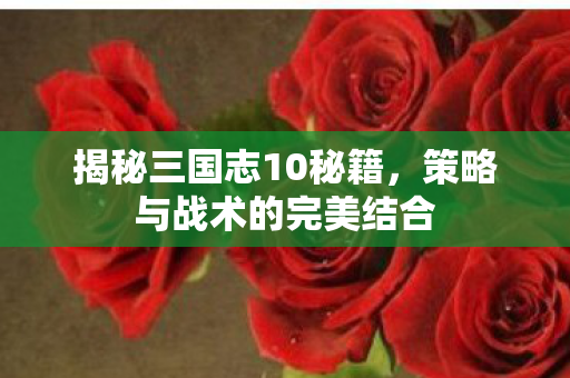 策略与战术的完美结合图片