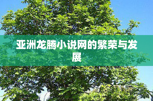 亚洲龙腾小说网的繁荣与发展图片