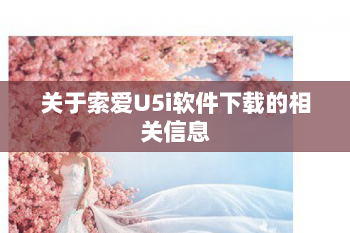 关于索爱U5i软件下载的相关信息图片