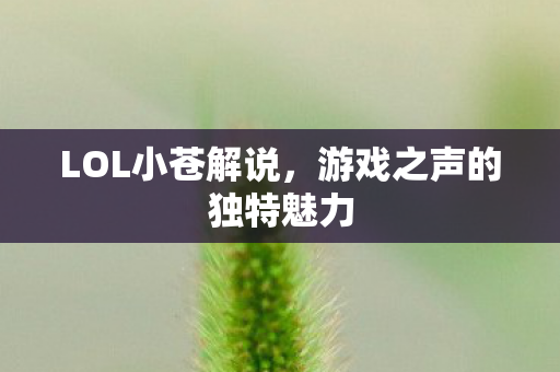 游戏之声的独特魅力图片