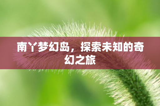 探索未知的奇幻之旅图片