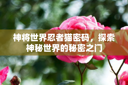 探索神秘世界的秘密之门图片