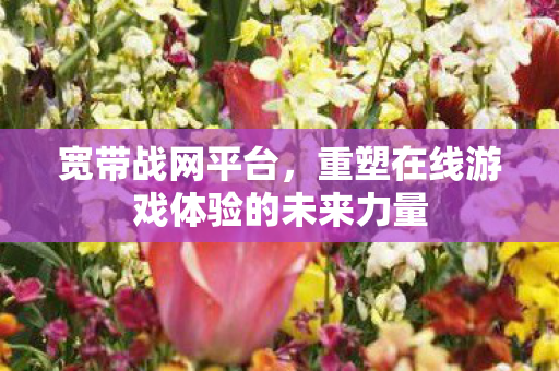 重塑在线游戏体验的未来力量图片