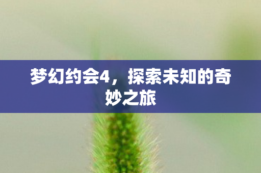 探索未知的奇妙之旅图片