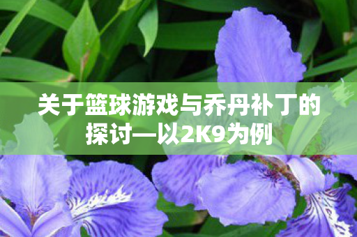 关于篮球游戏与乔丹补丁的探讨图片