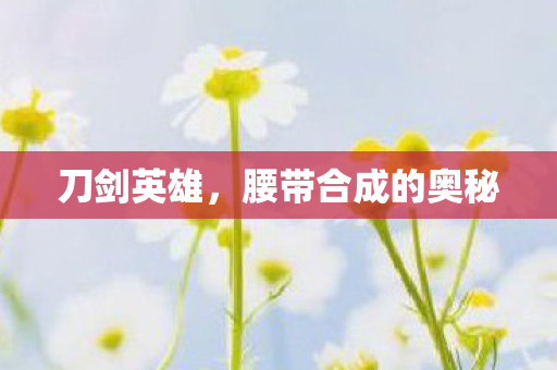 腰带合成的奥秘图片
