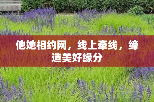 缔造美好缘分图片