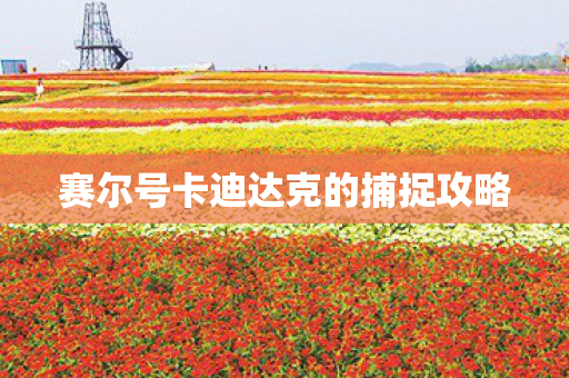 赛尔号卡迪达克的捕捉攻略图片