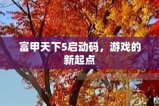 富甲天下5启动码图片