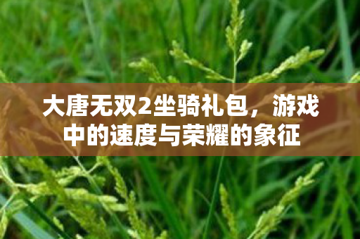 游戏中的速度与荣耀的象征图片