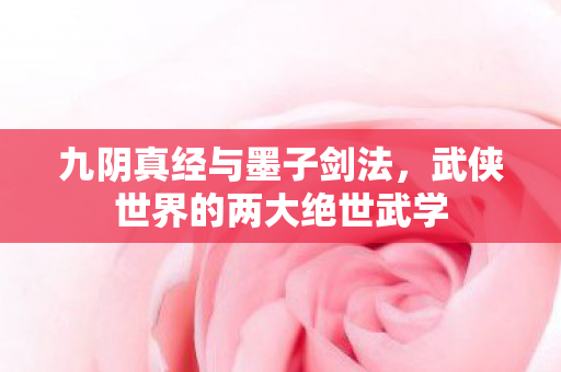 武侠世界的两大绝世武学图片