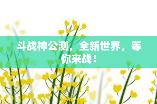 斗战神公测图片