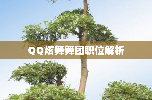 QQ炫舞舞团职位解析图片