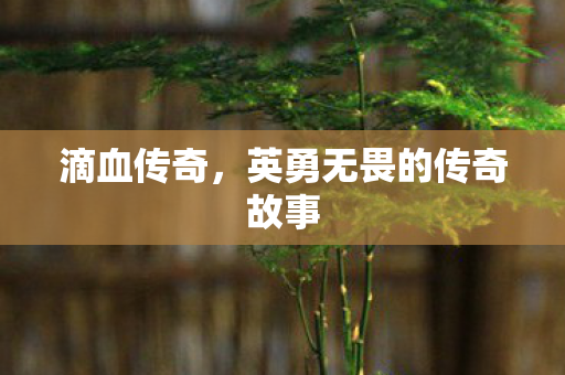 英勇无畏的传奇故事图片