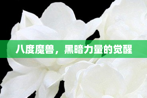 黑暗力量的觉醒图片