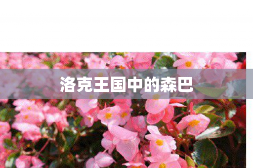 洛克王国中的森巴图片