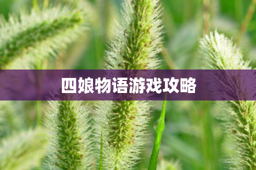 四娘物语游戏攻略图片