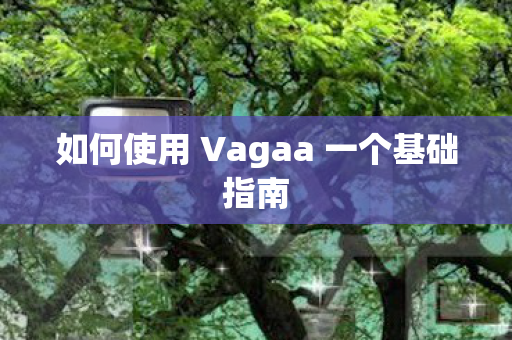 如何使用 Vagaa 一个基础指南图片
