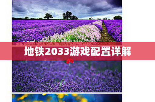 地铁2033游戏配置详解图片