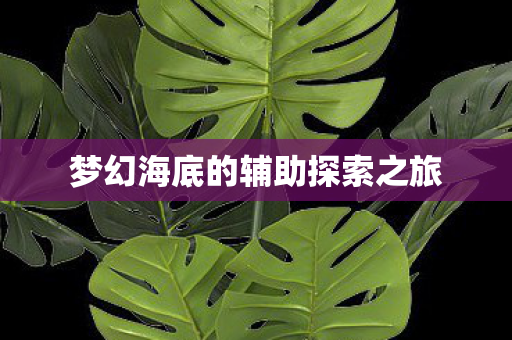梦幻海底的辅助探索之旅图片