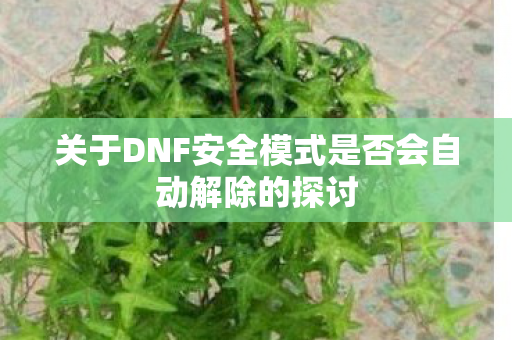 关于DNF安全模式是否会自动解除的探讨图片