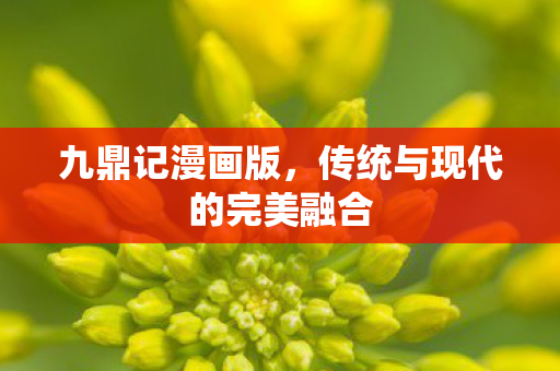 传统与现代的完美融合图片