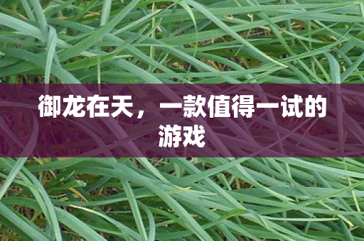一款值得一试的游戏图片