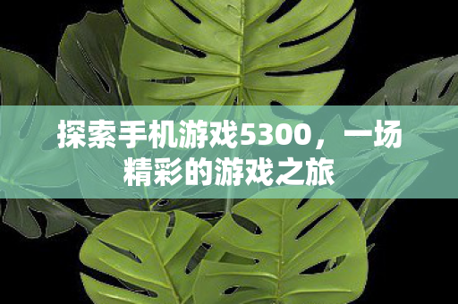 探索手机游戏5300图片