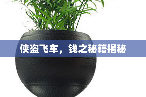 钱之秘籍揭秘图片